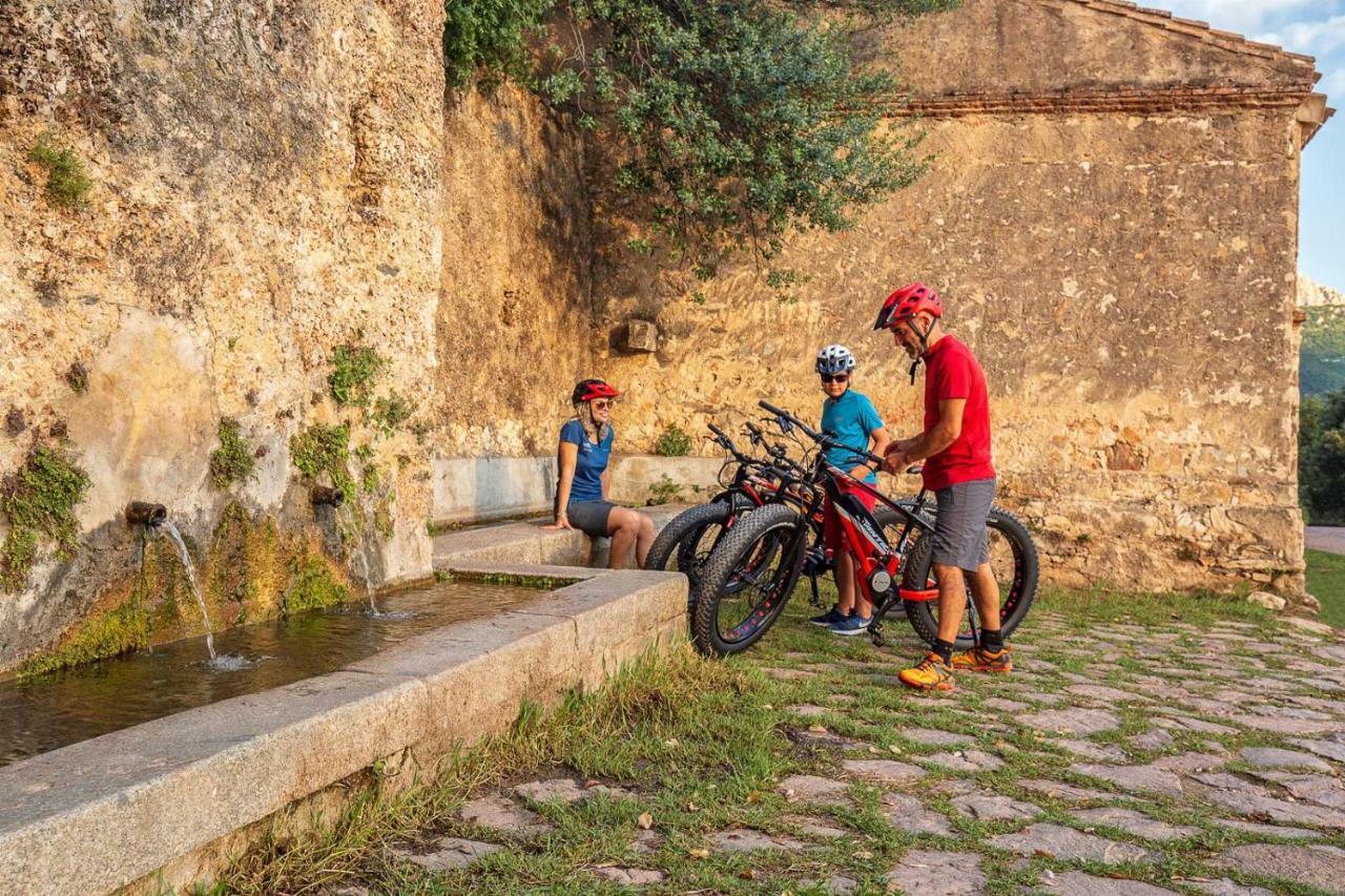 Casa de hóspedes Bedbike